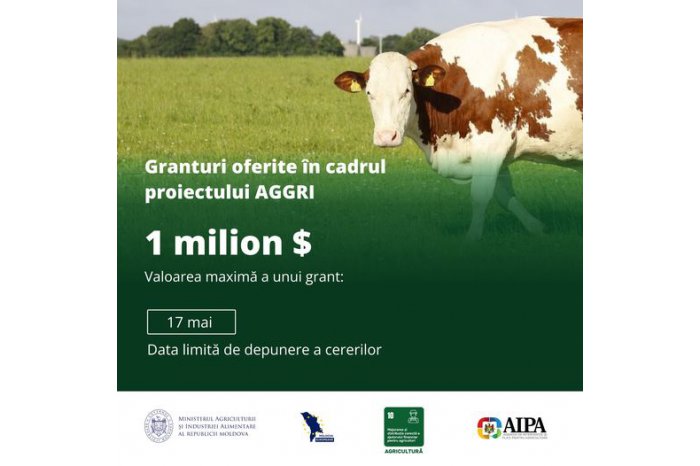 Moldovan Agriculture Ministry says 17 May last day for asking for AGGRI grants meant for cattle growers 
