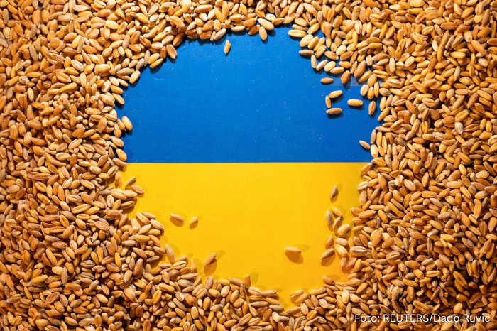  Зерно из Украины, которое транспортируется в тран