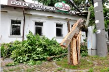 Furtuna de noaptea trecută a făcut ravagii în Chișinău'